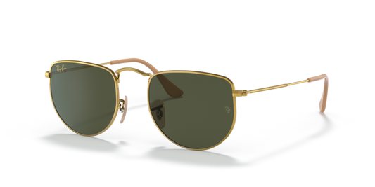 Ray-Ban RB3958 Elon Sunglasses