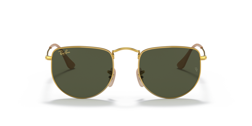 Ray-Ban RB3958 Elon Sunglasses
