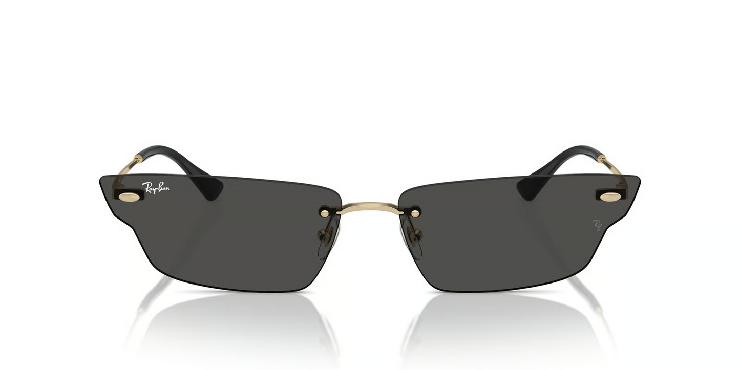 Ray-Ban RB3731 ANH Sunglasses