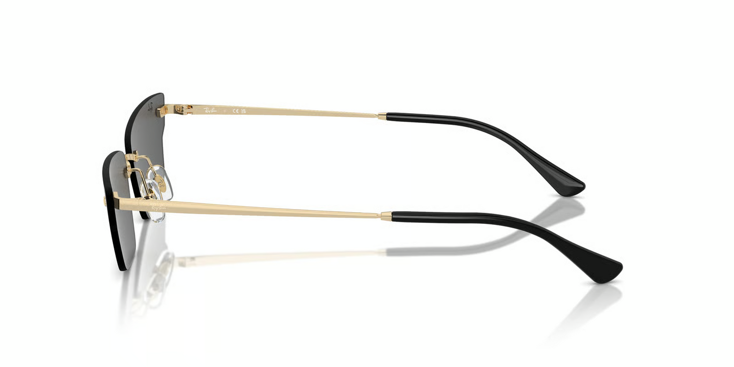 Ray-Ban RB3731 ANH Sunglasses