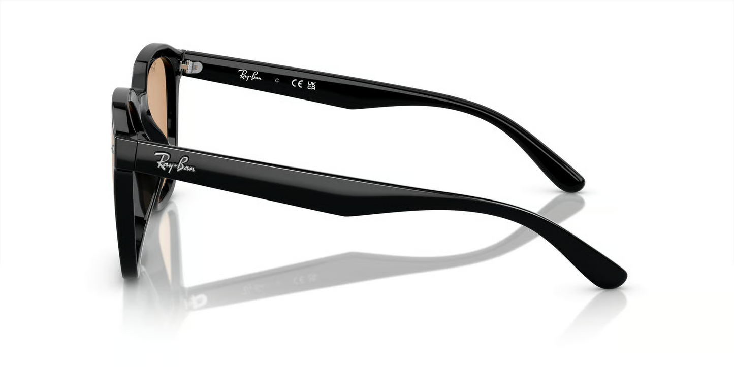 Ray-Ban RB4392D Sunglasses