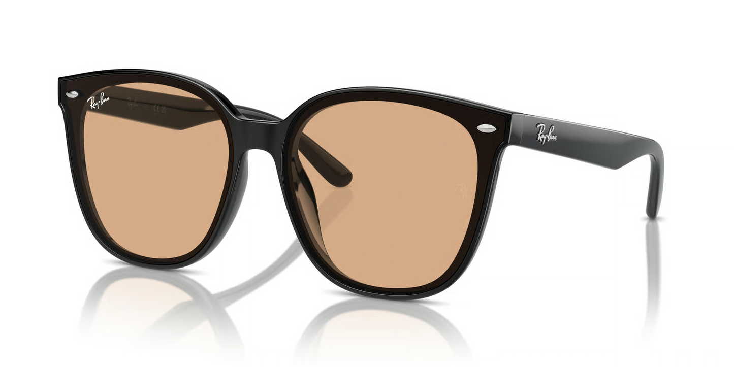 Ray-Ban RB4423D Sunglasses