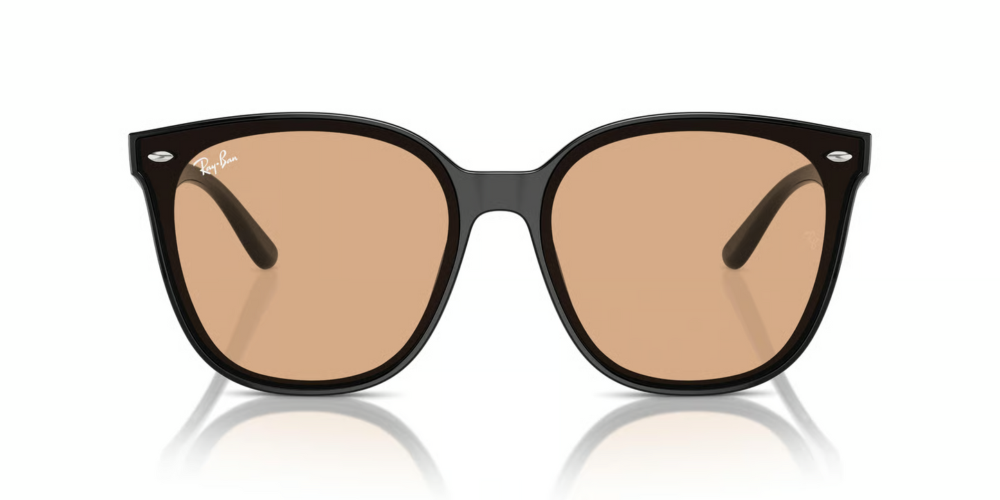 Ray-Ban RB4423D Sunglasses