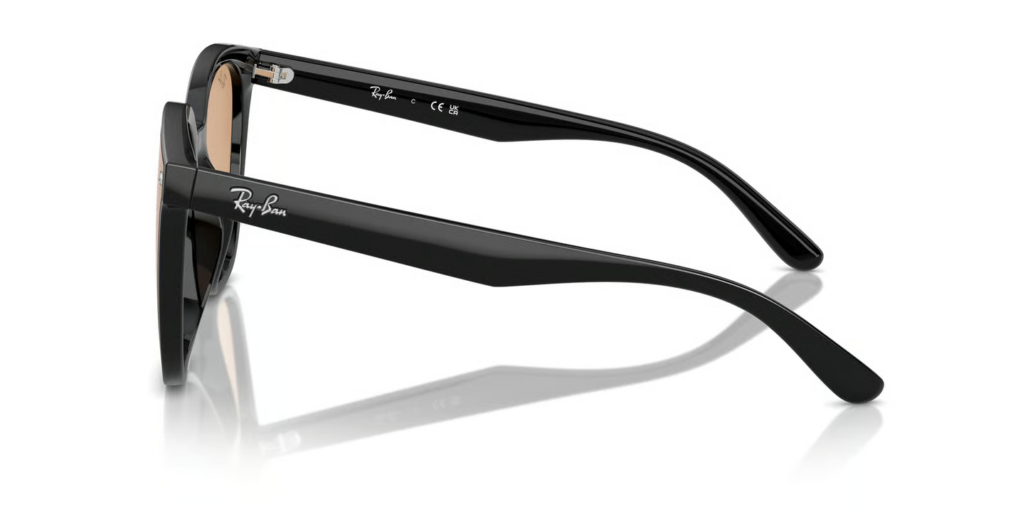 Ray-Ban RB4423D Sunglasses