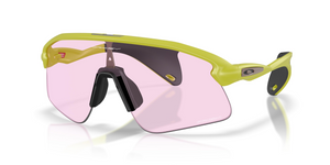 951715 - Cactus with Prizm Low Light Lenses