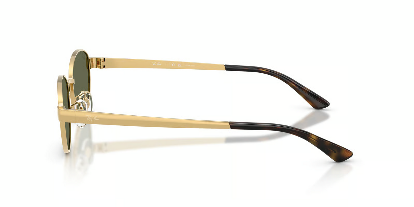 Ray-Ban RB3774D Sunglasses