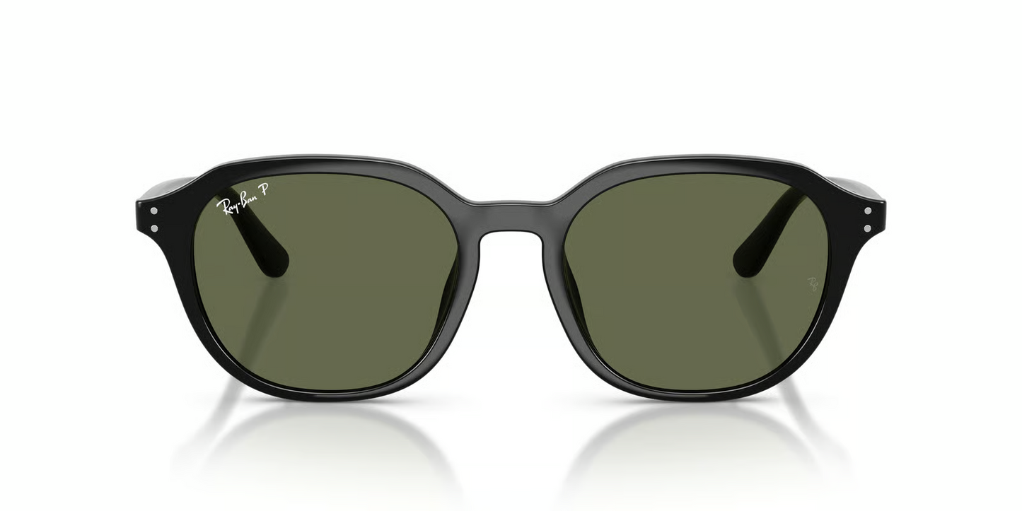 Ray-Ban RB4459D Sunglasses