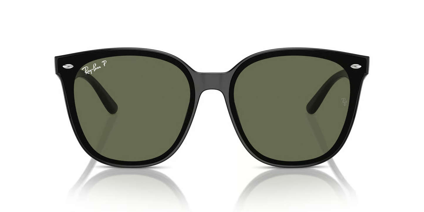 Ray-Ban RB4423D Sunglasses