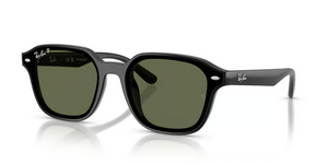 601/9A - Black with Polarized Dark Green Lenses