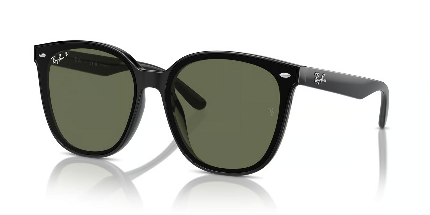 Ray-Ban RB4423D Sunglasses