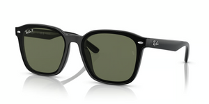 601/9A - Black with Polarized Dark Green Lenses