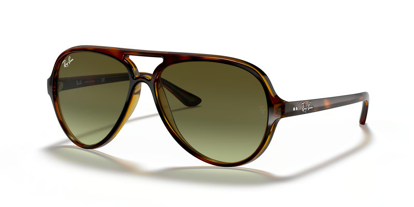 Ray-Ban RB4125 Cats 5000 Sunglasses
