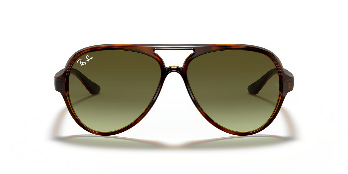 Ray-Ban RB4125 Cats 5000 Sunglasses