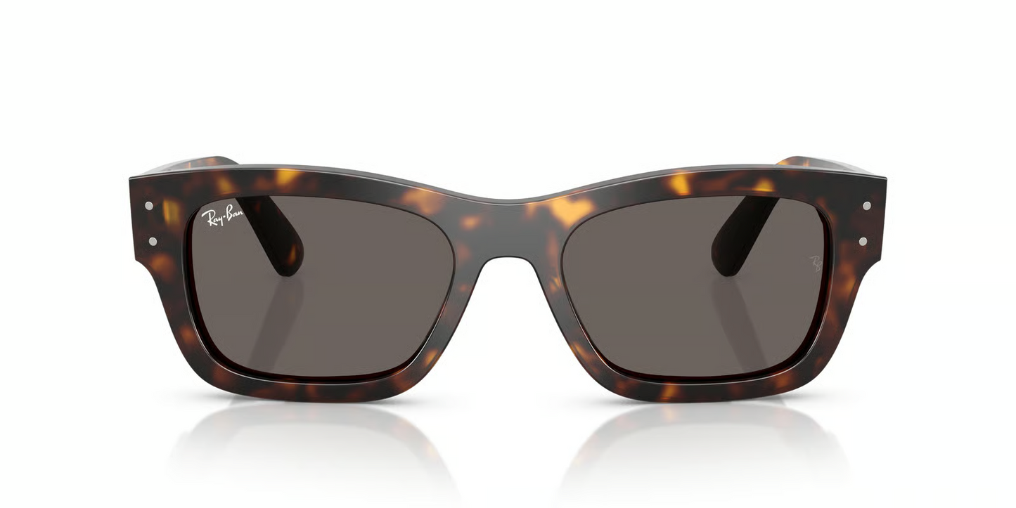 Ray-Ban RB7683S Joseph Sunglasses
