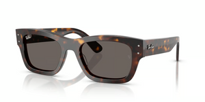 902/B1 - Havana with Dark Grey Lenses