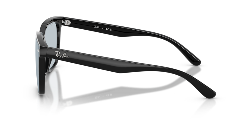 Ray-Ban RB4466D Sunglasses