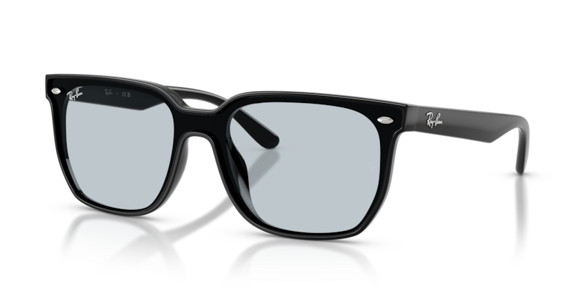 Ray-Ban RB4466D Sunglasses