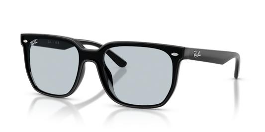 Ray-Ban RB4466D Sunglasses