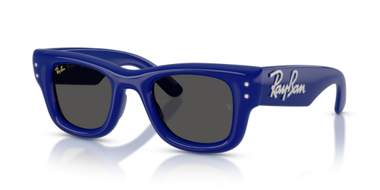 Ray-Ban RB4940B Wayfarer Puffer Sunglasses
