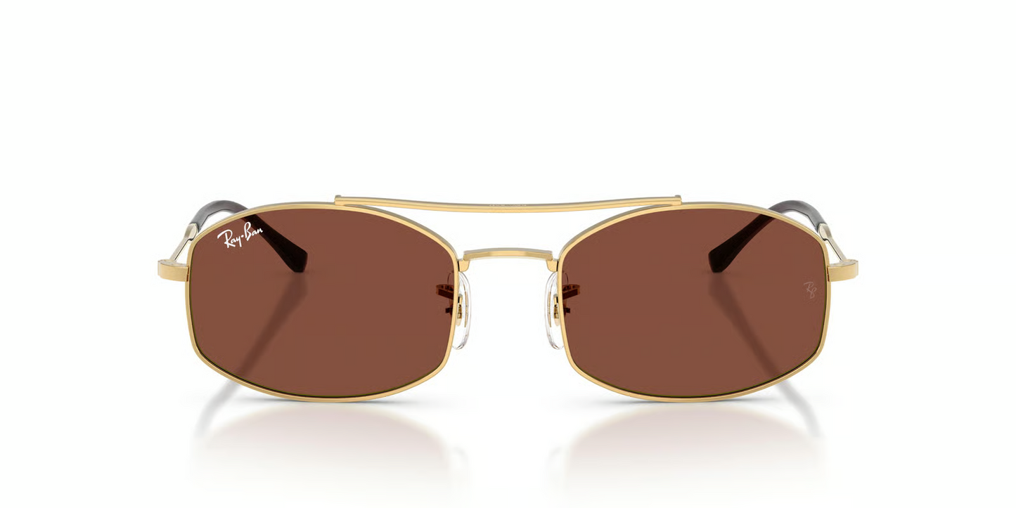 Ray-Ban RB3719 Sunglasses