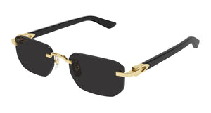 001 - Gold With Black Temples and Grey Lenses