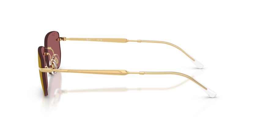 Ray-Ban RB3768 Sunglasses