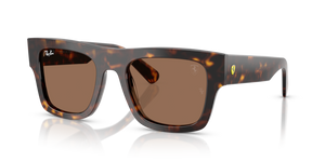 F61373 - Havana with Dark Brown Lenses
