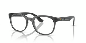 F691 - Transparent Grey with Clear Lenses