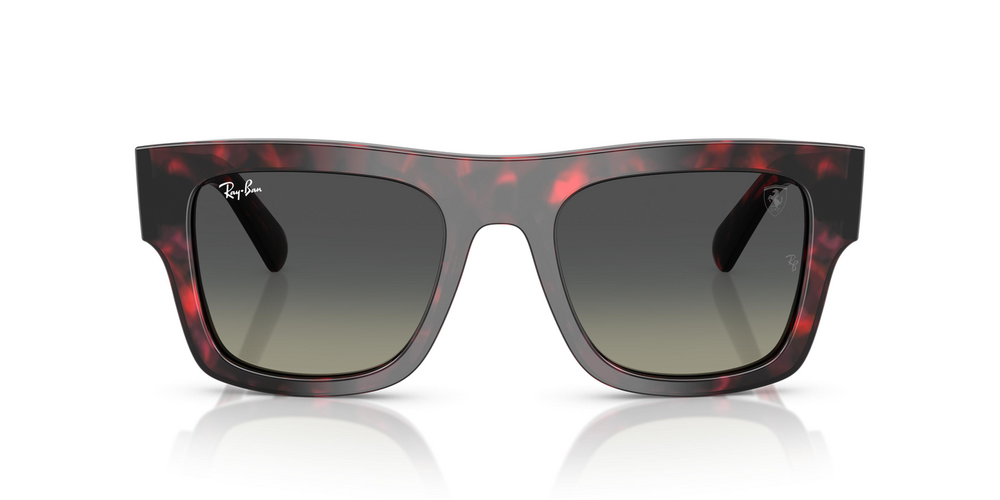 Ray-Ban RB2217M Sunglasses