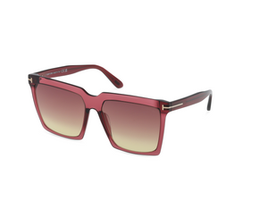 69T - Shiny Bordeaux with Bordeaux Gradient Lenses