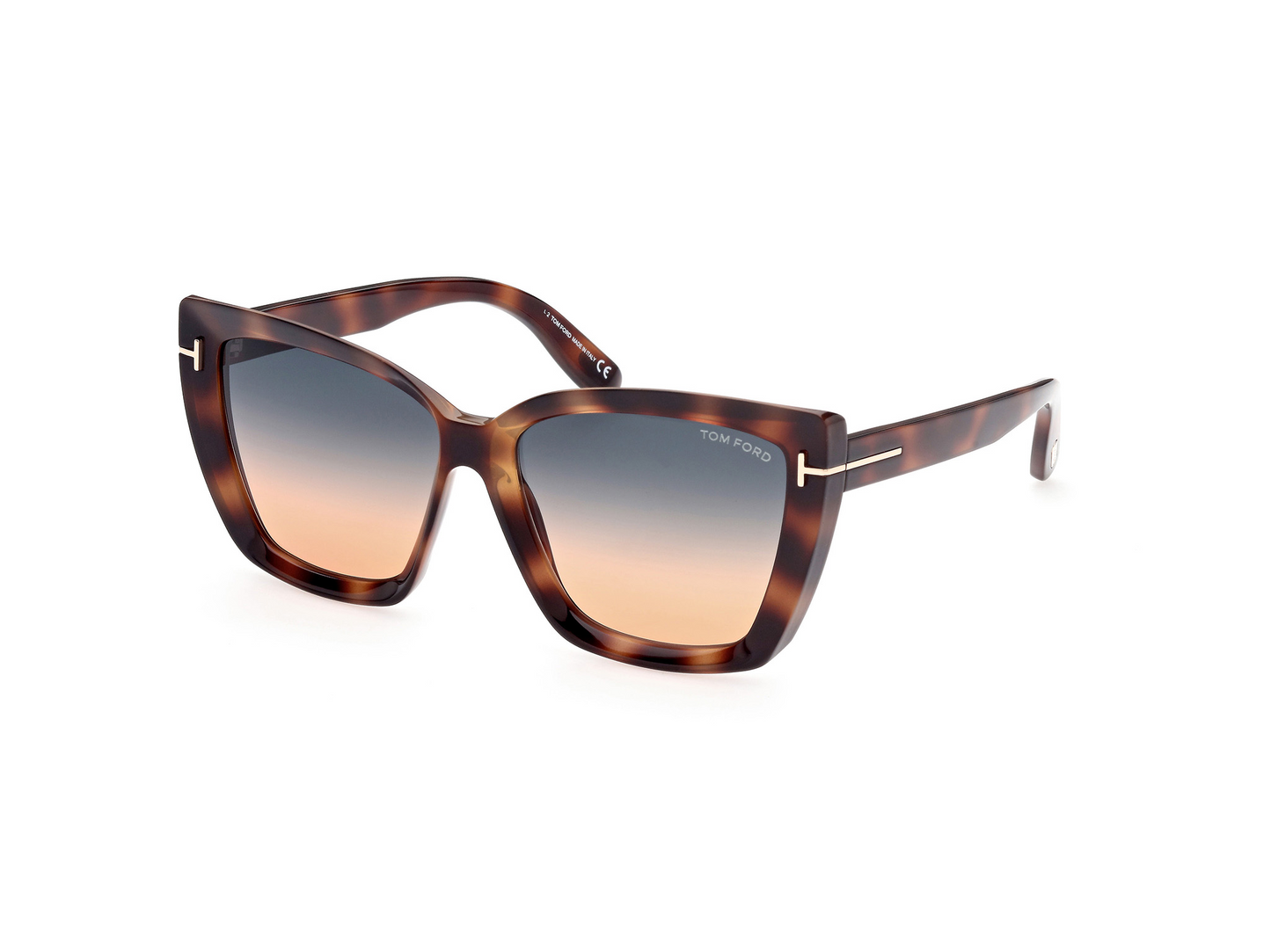 Tom Ford FT0920 Scarlet-02 Sunglasses