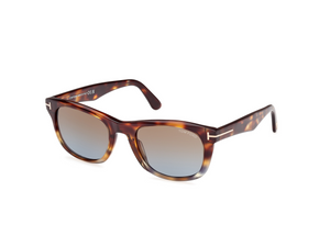 56B - Colored Havana with Gradient Brown Lenses