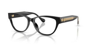 GB1 - Black with Clear Lenses