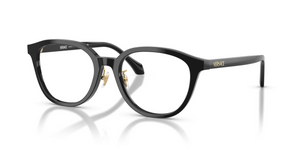 GB1 - Black with Clear Lenses