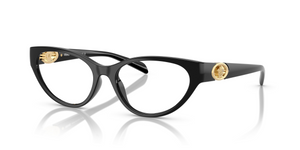 GB1 - Black with Clear Lenses
