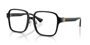 GB1 - Black with Clear Lenses