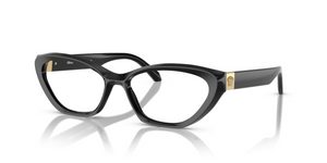GB1 - Black with Clear Lenses