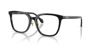GB1 - Black with Clear Lenses