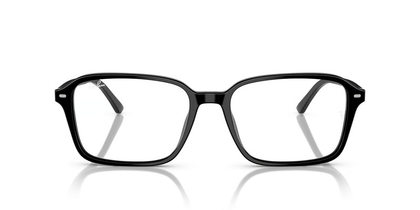 Ray-Ban RB2231F Raimond Sunglasses