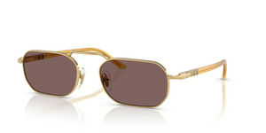 112953 - Gold with Violet Lenses