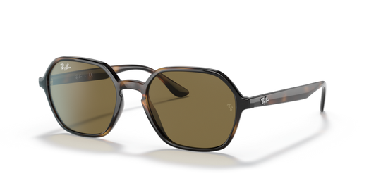 Ray-Ban RB4361 Sunglasses