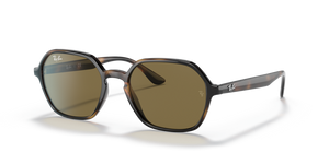 710/73 - Havana with B-15 Brown Lenses