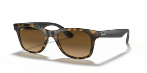 710/M2 - Light Havana with Polarized Brown Lenses