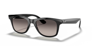 601/M3 - Black with Polarized Grey Lenses