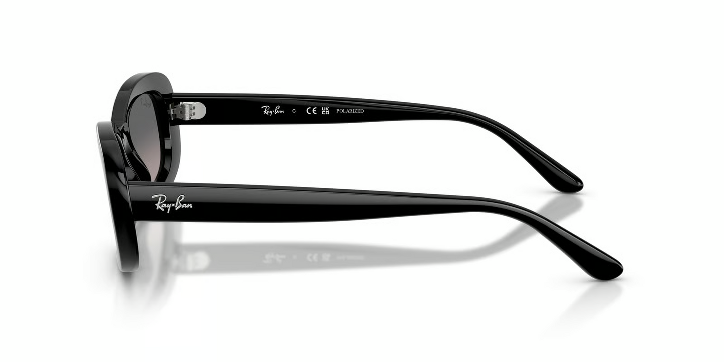 Ray-Ban RB2221F Sunglasses