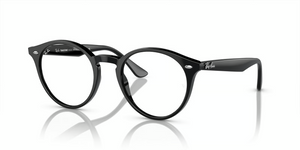 601/MF - Black with Photochromic Clear/Blue Lenses