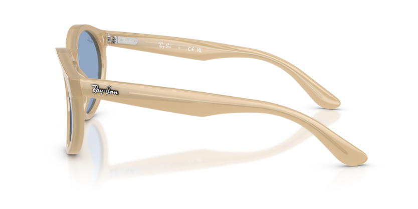 Ray-Ban RBR0505S Sunglasses