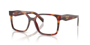 22A1O1 - Poppy Tortoise with Clear Lenses