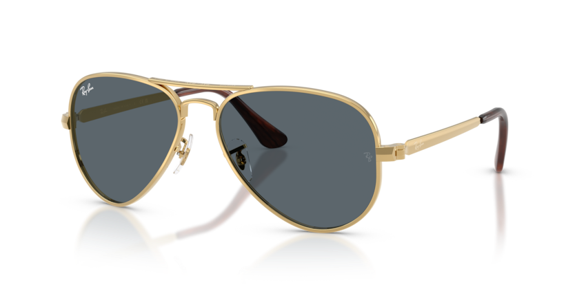 Ray-Ban RB3925 Aviator Max Sunglasses