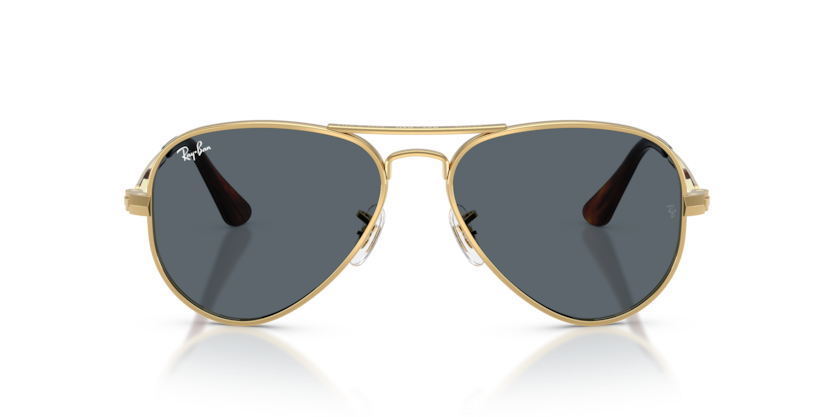 Ray-Ban RB3925 Aviator Max Sunglasses